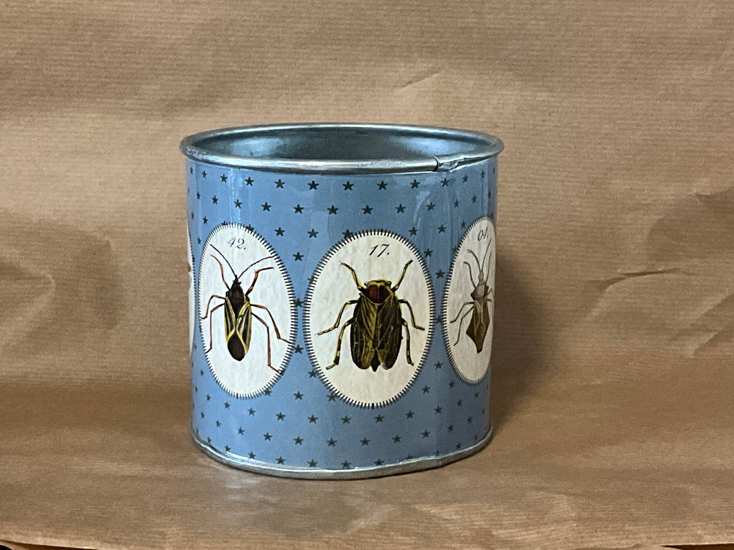 Medium sized bug tin