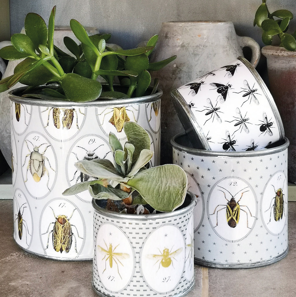 Small fly/bug tin