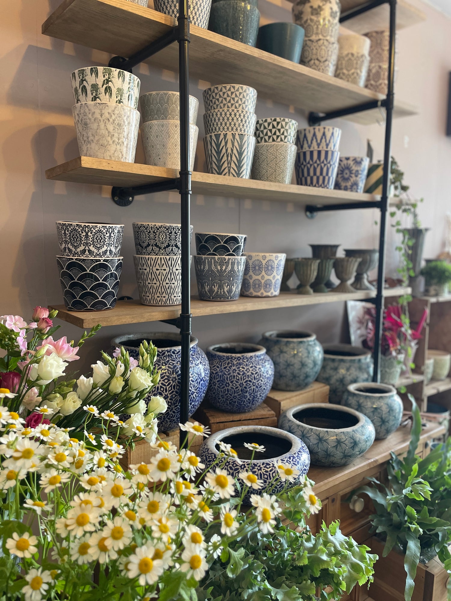 Pots and Planters