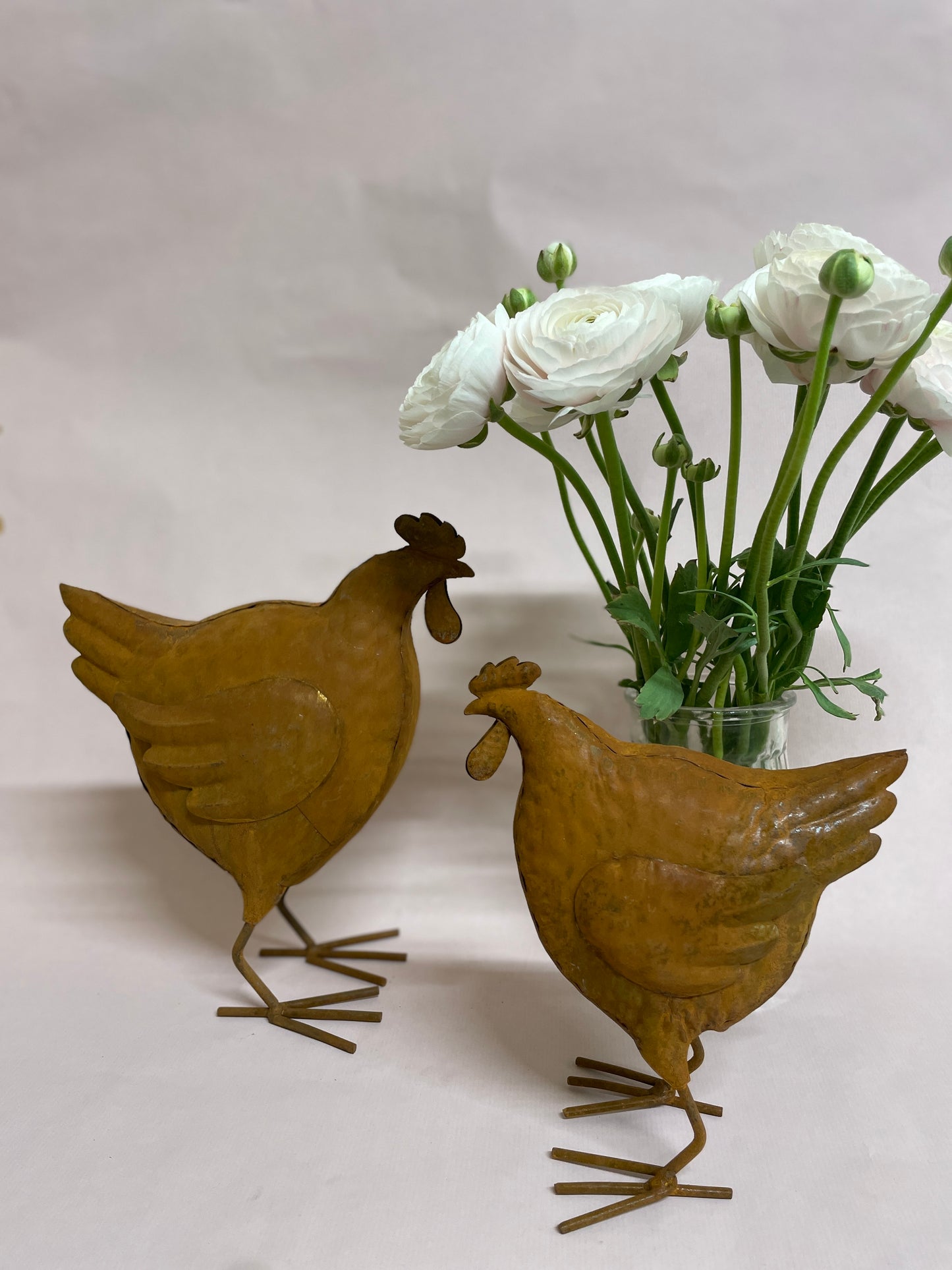 Small rust chicken