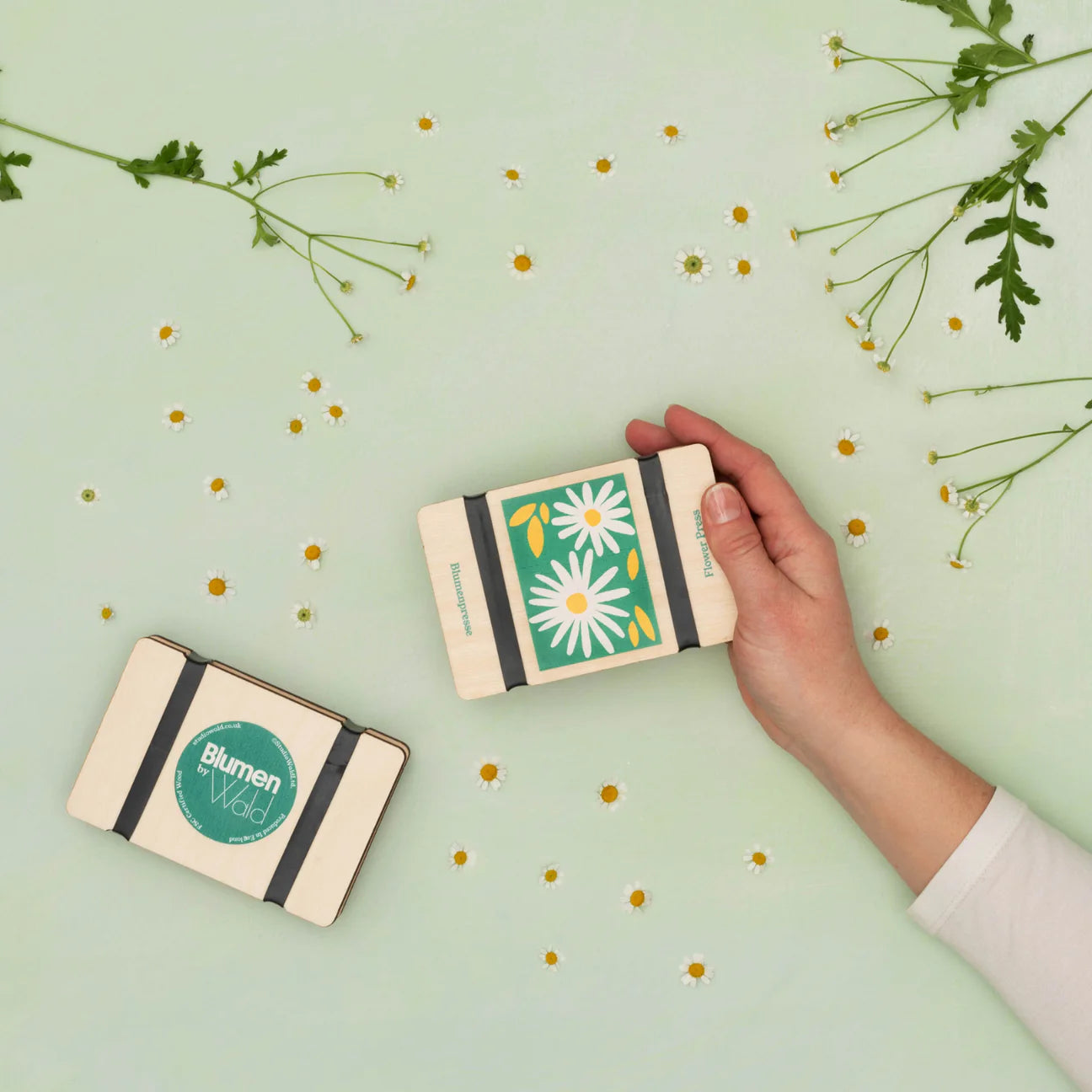 Pocket flower press - Daisy design