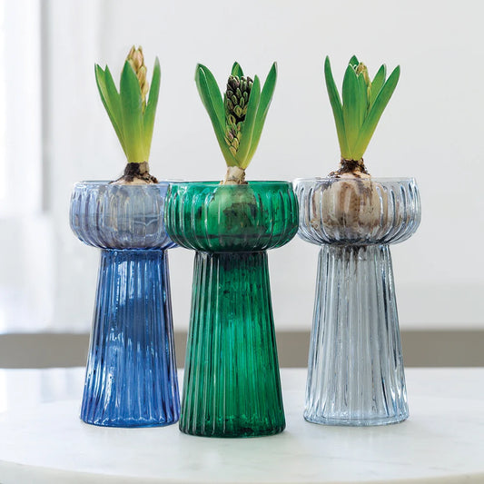 Ribbed hyacinth vases