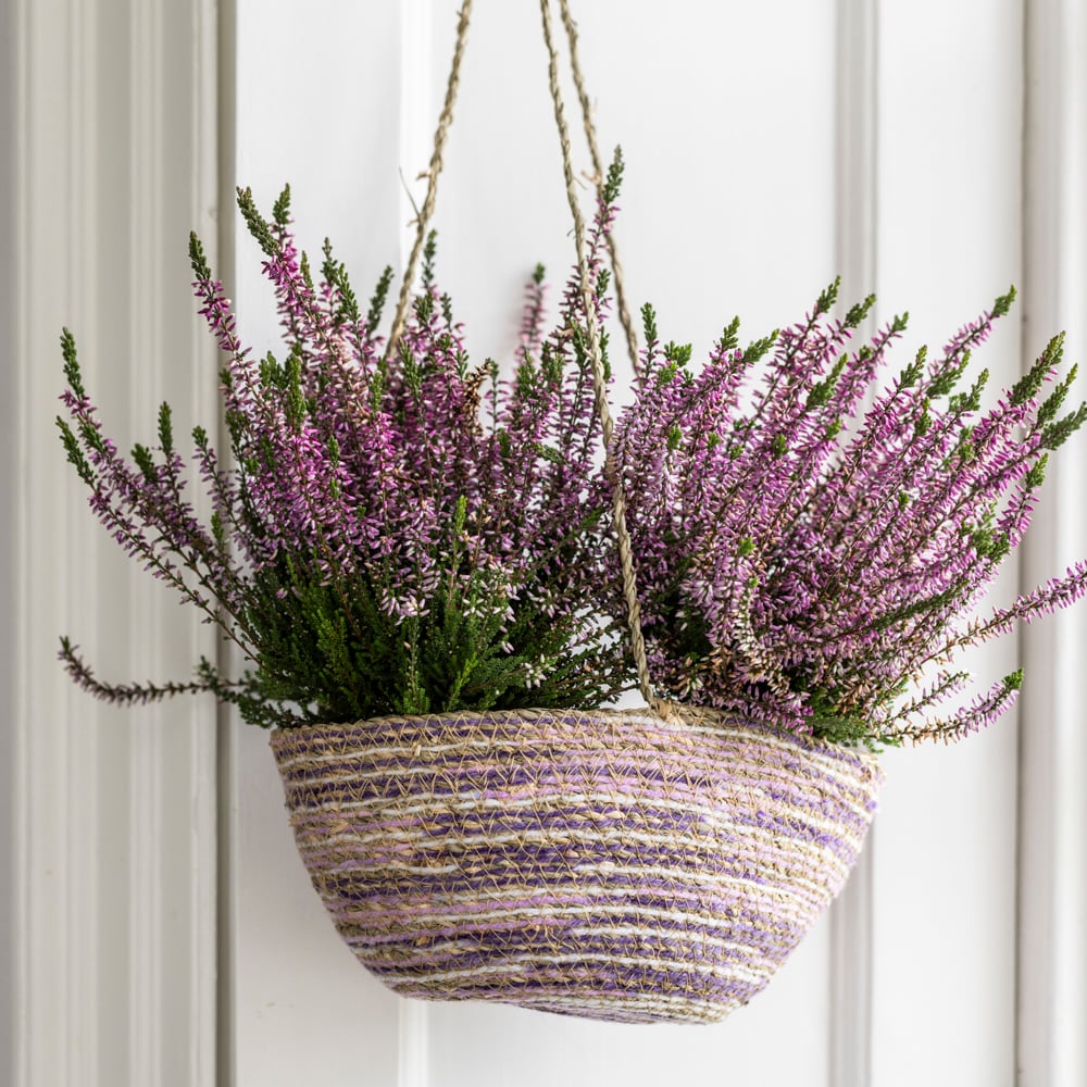 Seagrass and Cotton Hanging Basket Lilac